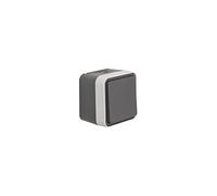 Berker 30763505 Commutateur AP Gris Clair