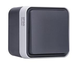 Berker 30763505 Commutateur AP Gris Clair