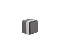 Prise 2P+T avec clapet Berker 47633505 W.1 apparent gris, gris clair