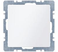 Berker 6710096089 Bouchon Borgne Avec Pièce Centrale Q.1 / Q.3 Blanc Polaire,