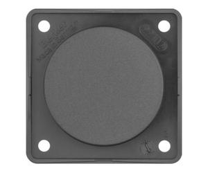 berker Berker Bouchon aveugle anthracite avec plaque de fixation 945162505 Quantité:1