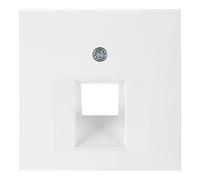 berker Berker Pièce centrale pws/gl pour prise UAE 14078989 Quantité:1