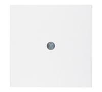 berker Berker Pièce centrale pws pour prise VDo 10191909 Quantité:1