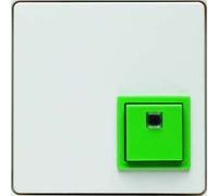 Berker Bouton d'arrêt pows/sa 52016089 avec cadre de décoration de clinique - Q.1 - Q.3 - Élément handicapé pour programmes d'interrupteur d'installation 4011334354024