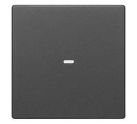 Berker Cache de Bouton 1f Anth 80960226 Module de capteur de Touches Q.1 ; Q.3 Cache/Commande pour programmes d'interrupteurs d'installation 3250617152723