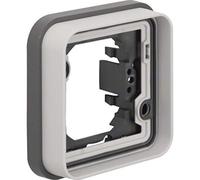 Berker Cadre Simple 13283505 - Gris Clair - W.1-4011334405108