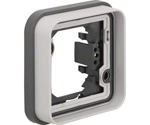 Berker Cadre Simple 13283505 - Gris Clair - W.1-4011334405108