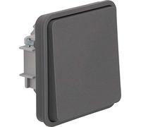 Berker Insert de Bouton-Poussoir à Bascule 50453515 - Gris Clair W.1-4011334390312