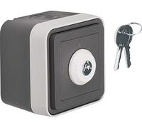 Berker Interrupteur à clé 32713505 W.1 Gris clair 4011334394969