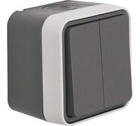 Berker Interrupteur série 2 contacts 50753515 Ap gris clair W.1 4011334391173