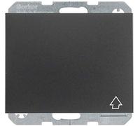 berker Berker Prise SCHUKO avec couvercle rabattable K.1 47517206 Quantité:1