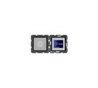 Berker Radio Touch avec LS DAB+ Q.x 29806086 Anthracite
