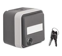 Berker Prise de courant SCHUKO 47393505 Gris clair
