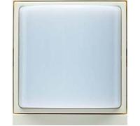 Berker Signal lumineux ws/gl 52038982 avec cadre B.3, B.7, installation clinique, S.1 élément handicapé pour programme d'installation 4011334354123