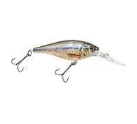 Berkley Flicker Shad Leurre de pêche HD Fathead Minnow, 5/453,6 g, 7 cm Crankbaits, Taille, Profil et Profondeur de plongée imitent l'ombre réelle, équipé d'un Crochet Fusion19