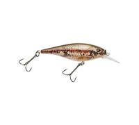 Berkley Flicker Shad Leurre de pêche Peu Profond HD Blacknose Dace, 0,6 g, 5,1 cm | Crankbaits de 5 cm, Taille, Profil et Profondeur de plongée imitent l'ombre réelle, équipé d'un Crochet Fusion19