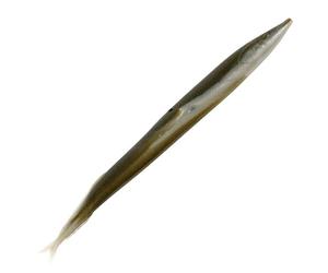 Berkley Gulp Anguilles de sable Silver Mud 6 Pack 5 pouces