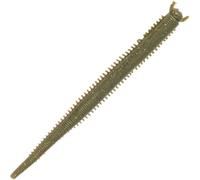 Berkley Gulp!® Saltwater Fat Sandworm; Appât de pêche réaliste en Plastique Souple, pour Les pêcheurs en Eau salée, Infusé avec l'odeur Gulp ! Scent; Bateau, Rivage et estuaire, 10cm, Camo