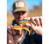 Berkley PowerBait® Cullshad Soft Bait | Leurre réaliste | Leurre Polyvalent pour brochets, sandres, truites et perches | 10 cm | 8 g | Mixpack Clearwater