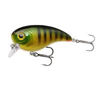 Berkley Pulse Biggie Crankbait | Leurre Flottant à plongée Peu Profonde pour Le brochet, la Perche et Le Bar | Leurre Dur à Action Rapide pour la pêche des prédateurs en Eau Douce | 8cm, Tigre de feu