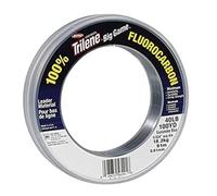 Berkley Monofilament de pêche Trilene Grand Game Fluorocarbone, fil de traîne en mer 90 m 40 lb