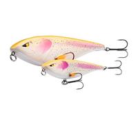 Berkley Zilla Glider Leurre pour la pêche au brochet | Leurre Facile à Utiliser | Leurre pour prédateurs d'eau Douce à Une Profondeur de 0,5 à 2 m | 13 cm | 38 g | Two Tone Fegis