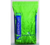 BERM - Graines de gazon Advanta - Bordures250 - 10 kg