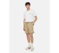 Bermuda Dickies Pelican Rapids Beige L