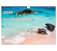 bermuda pink (Wall Calendar 2026 DIN A4 landscape), CALVENDO 12 Month Wall Calendar: A deep insight into the midget world of the bermuda pink coral sand by excellent macroscopy photos.