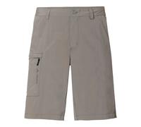 Vaude Farley V Shorts Gris 58 Homme