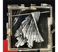 Bern Nix Trio : Alarms and Excursions