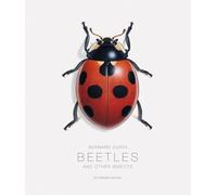 Bernard Durin Beetles and Other Insects /anglais