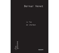 Bernard Venet: Le tas de charbon