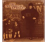 Bernard Wrigley - THE PHENOMENAL B. WRIGLEY [1971] (original recording remastered)