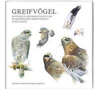 Bernd Pöppelman Greifvögel: Einstieg in die Erkennung von einheimisch (Broschre)