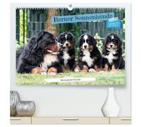 Berner Sennenhunde Bärenstarke Freunde (hochwertiger Premium Wandkalender 2027 DIN A2 quer), Kunstdruck in Hochglanz: Mit den liebevollen Wegbegleitern durchs saisonale Momente.