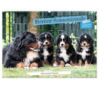 Berner Sennenhunde Bärenstarke Freunde (Wandkalender 2027 DIN A2 quer), CALVENDO Monatskalender: Mit den liebevollen Wegbegleitern durchs saisonale Momente.