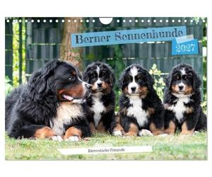 Berner Sennenhunde Bärenstarke Freunde (Wandkalender 2027 DIN A4 quer), CALVENDO Monatskalender: Mit den liebevollen Wegbegleitern durchs saisonale Momente.