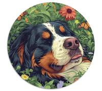 Bernese Mountain Dog 1000 Pieces Puzzles Ronds Puzzle De l'art De La Décoration Moderne Jeu D'Intelligence Puzzle De Qualité Supérieure pour Adultes Et Enfants 1000pcs (67.5x67.5cm)