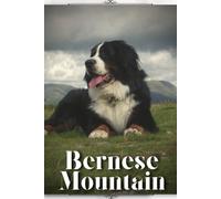 Bernese Mountain: Dog Breed Overview And Guide