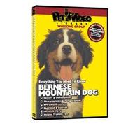 BERNESE MOUNTAIN DOG DVD! + Dog & Puppy Training Bonus
