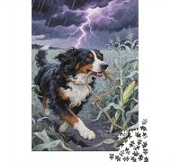 Bernese Mountain Dog Puzzle 1000 Pcs Patience Et De Réflexion Adultes Et Enfants Jeu Occasionnel l'art De La Décoration 1000pcs (75x50cm)