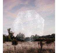 Bernhard Eder - Reset