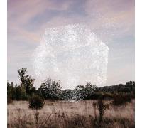 Bernhard Eder Reset (Vinyl)