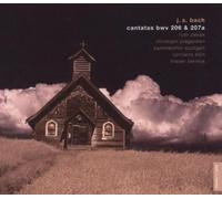 Bernius, Frieder - Mfy/ Cantatas