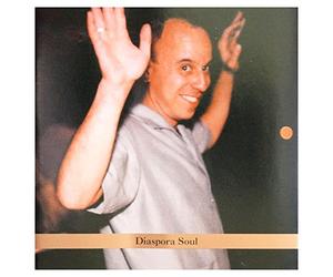 Bernstein, Steven - Diaspora Soul