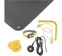 Bernstein Tools for Electronics Set de manipulation ESD noir