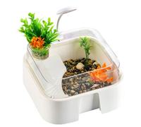 Berriphonia Petit réservoir de Tortues | Enclos pour Reptiles avec décorations - Réservoir pour tortued'eau, pour Crabe ermite, Tortue, Dragon Barbu, Serpent, araignée, intérieur, Maison, Bureau