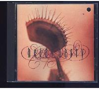 Berry, Heidi - Heidi Berry