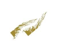 BERTDCX Accessoire Automatique Autocollants Latéraux De Porte, Graphiques De Camion, Splash Grunge, Décalcomanies De Décoration, Couvertures en Vinyle pour Coffre(Gold)